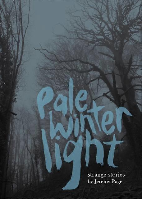 Pale Winter Light von Jeremy Page (Taschenbuch)