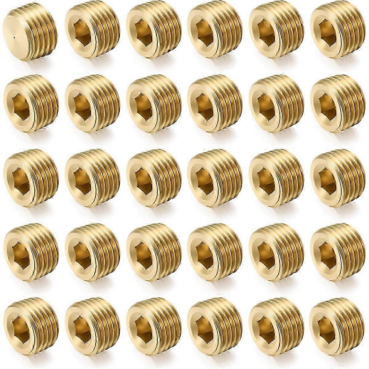 30Pcs 1/4"NPT Male Pipe Plug Fitting Set Internal Hex Thread Socket Pipe Plug Kit Hex Counter Sunk