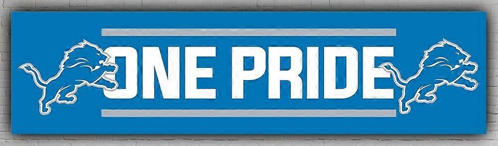 Lions One Pride Banner HF0042