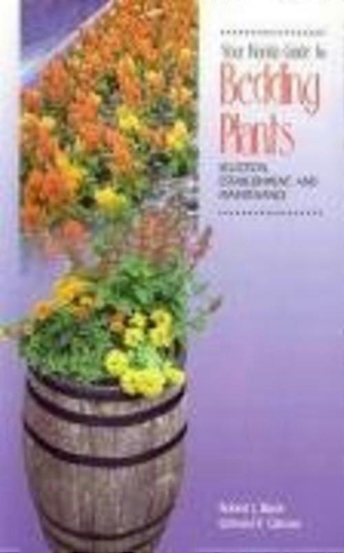 Din Florida-guide til bedplanter