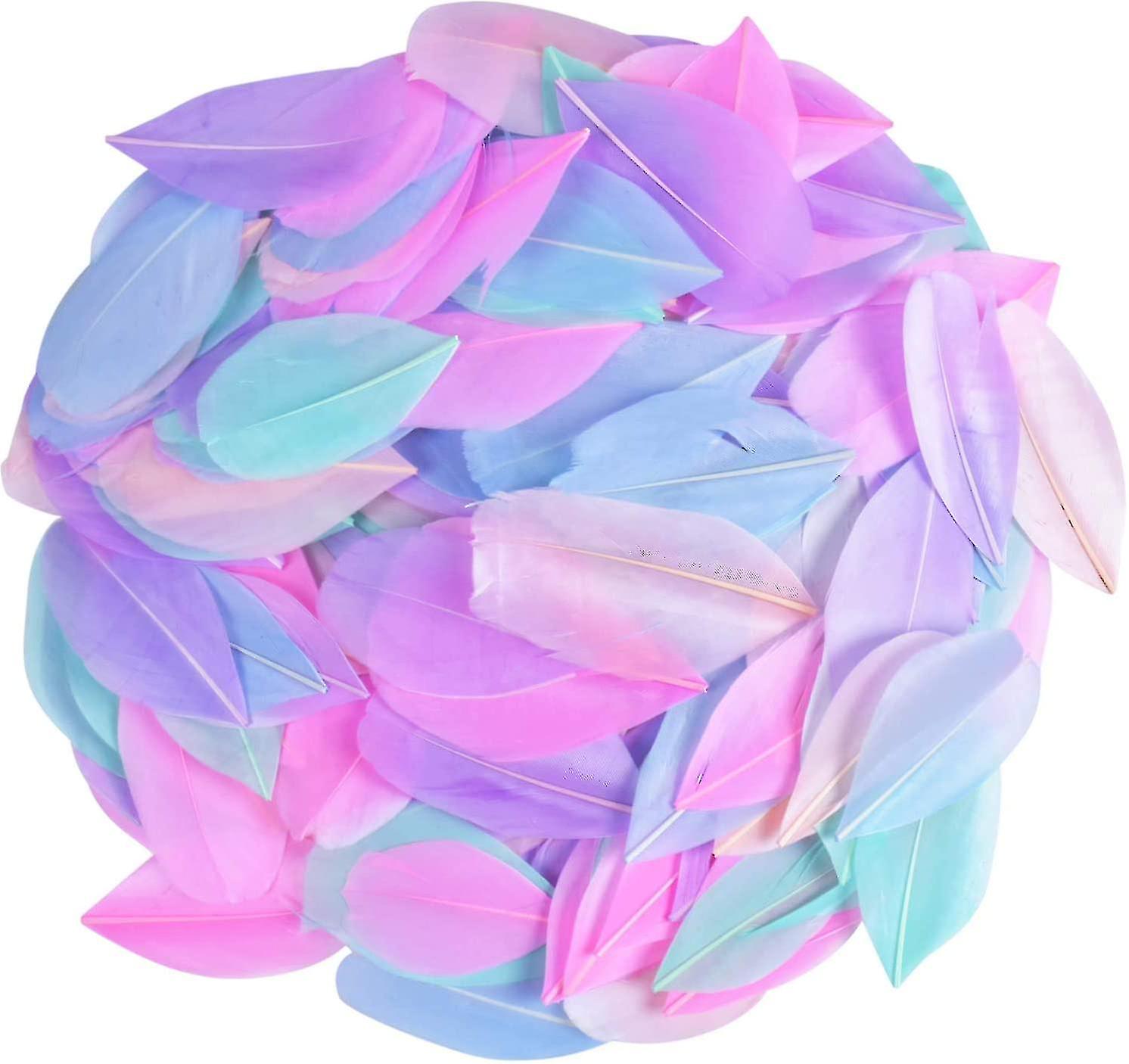 300pcs Feathers For Crafts, Colorful Feathers, Natural Goose Feathers, Feather