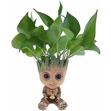 Bloempot-vogelnest Treant