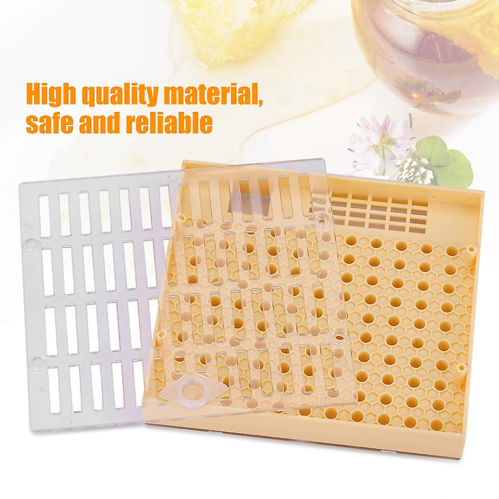 Bee Queen Rearing Cell Cupkit Box Case For Cupularve System Beekeeping Tool