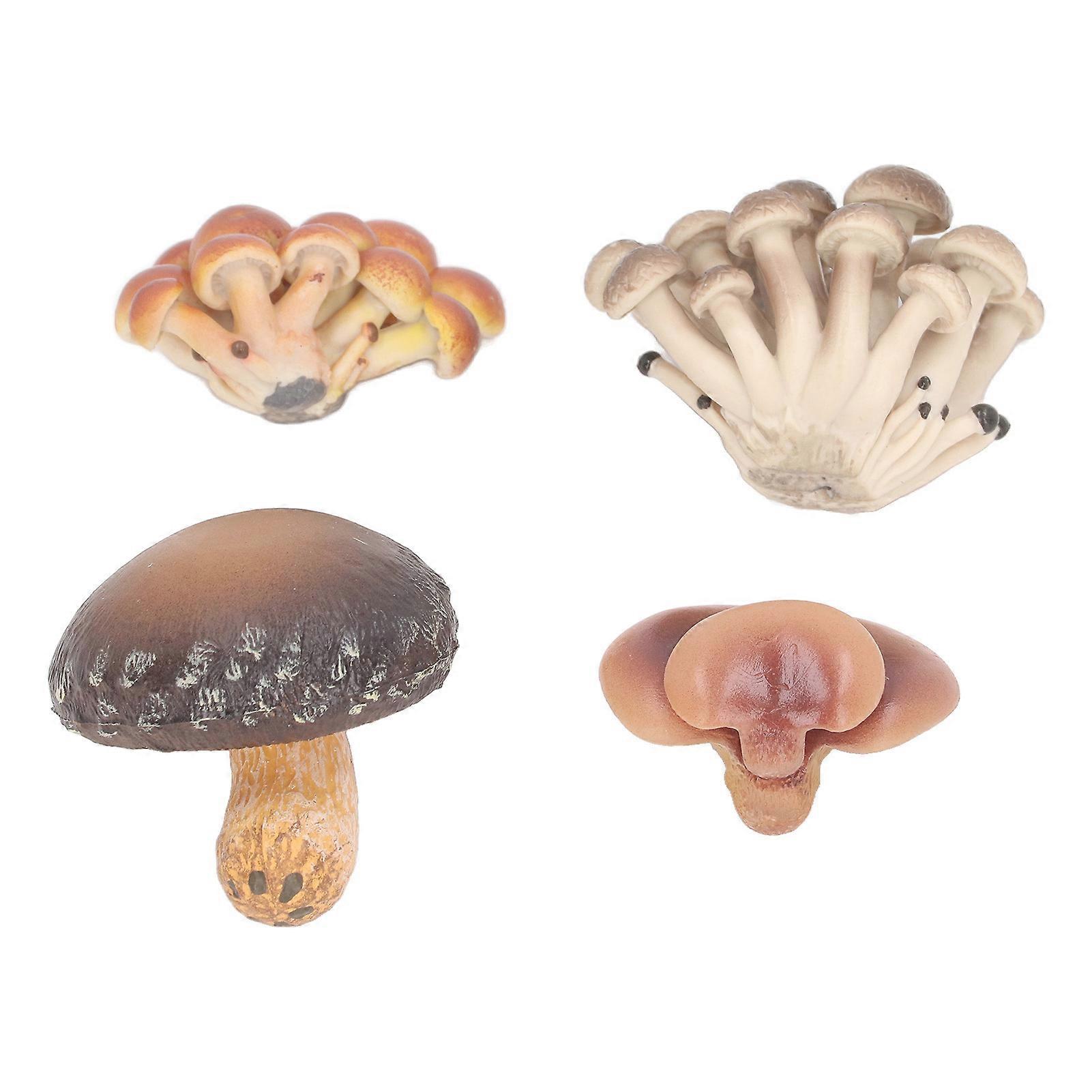 4pcs Miniature Mushroom Model Set High Simulation Mushroom Figurines Decoration for Education Type 1