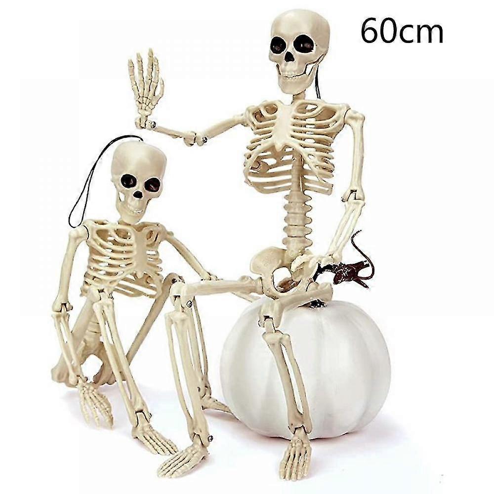 Mike 23.7"halloween Skeleton,full Body Skeleton With Posable Movable Joints For Haunted House Props Decorations