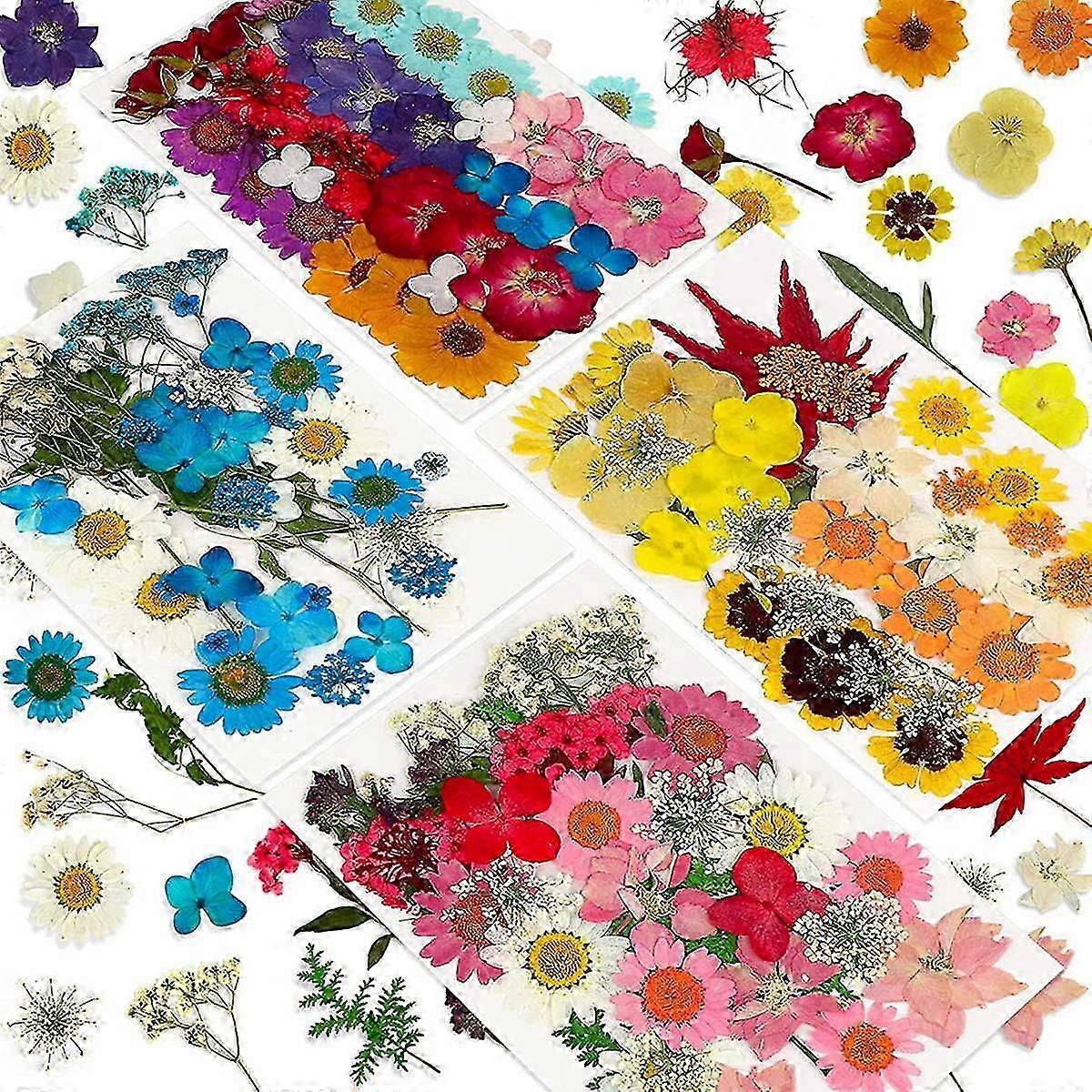 144-Count Bulk Set of Natural Dried Pressed Flower Resin Kit for Candle Crafting