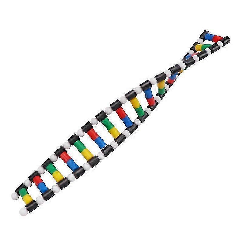 Childrens Toys Kids DNA Model Kit, Double Helix Model DNA Display Component for Science Teaching Display