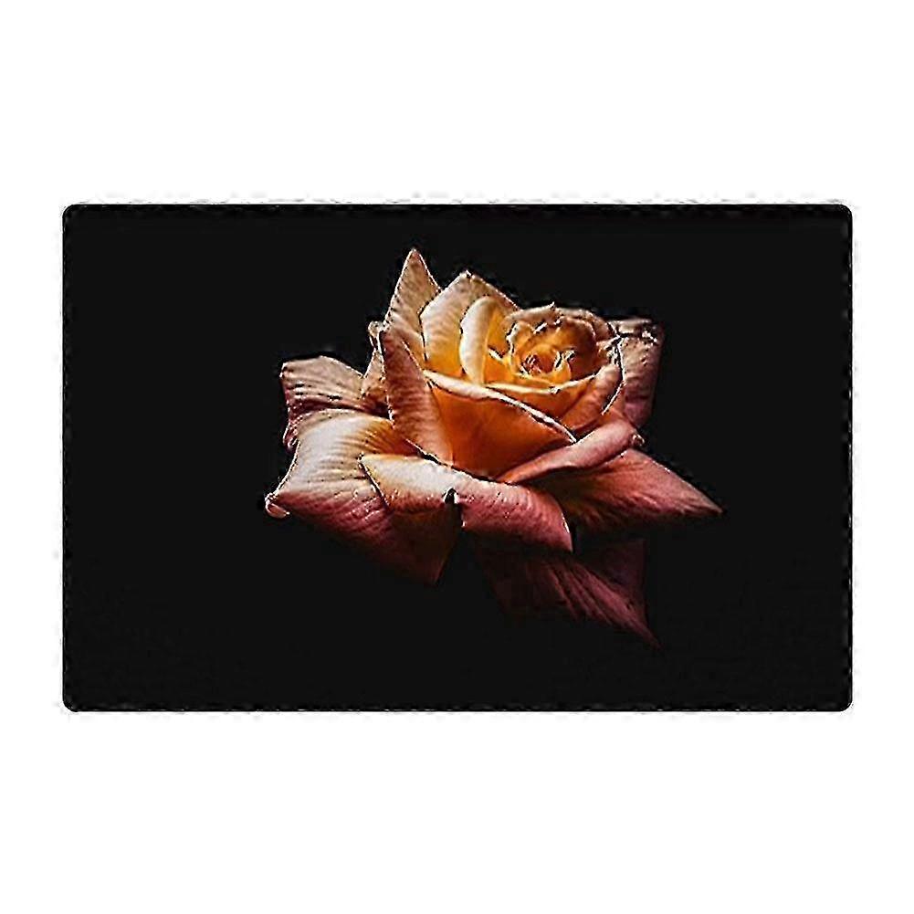 Elugnsskydd Elspisskydd