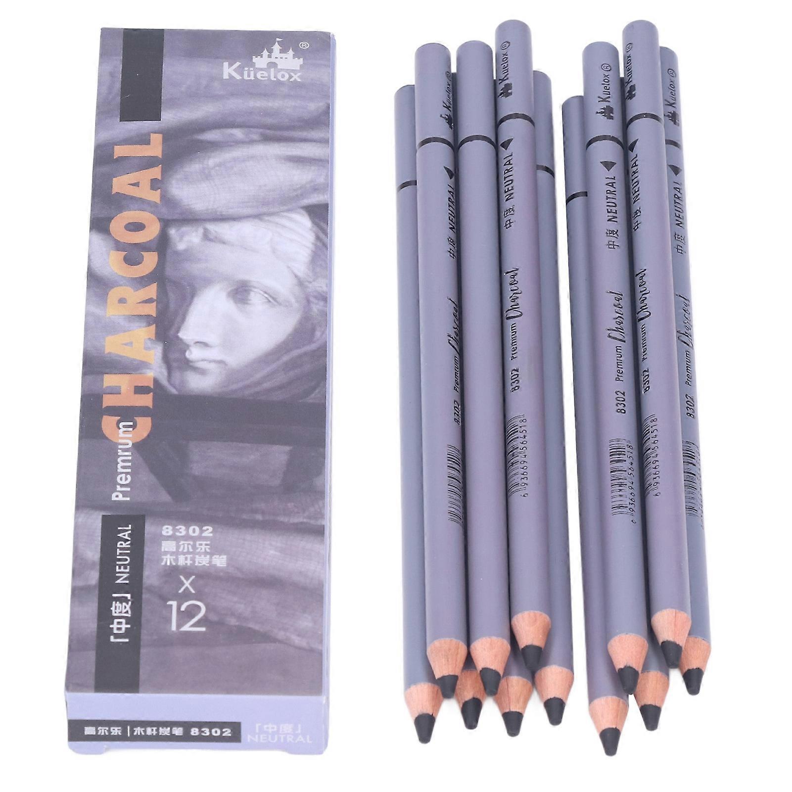 Lot de 12 crayons à fusain flexibles, écriture fluide, facile à utiliser, fournitures d'art au fusain pour dessin détaillé, croquis, peinture