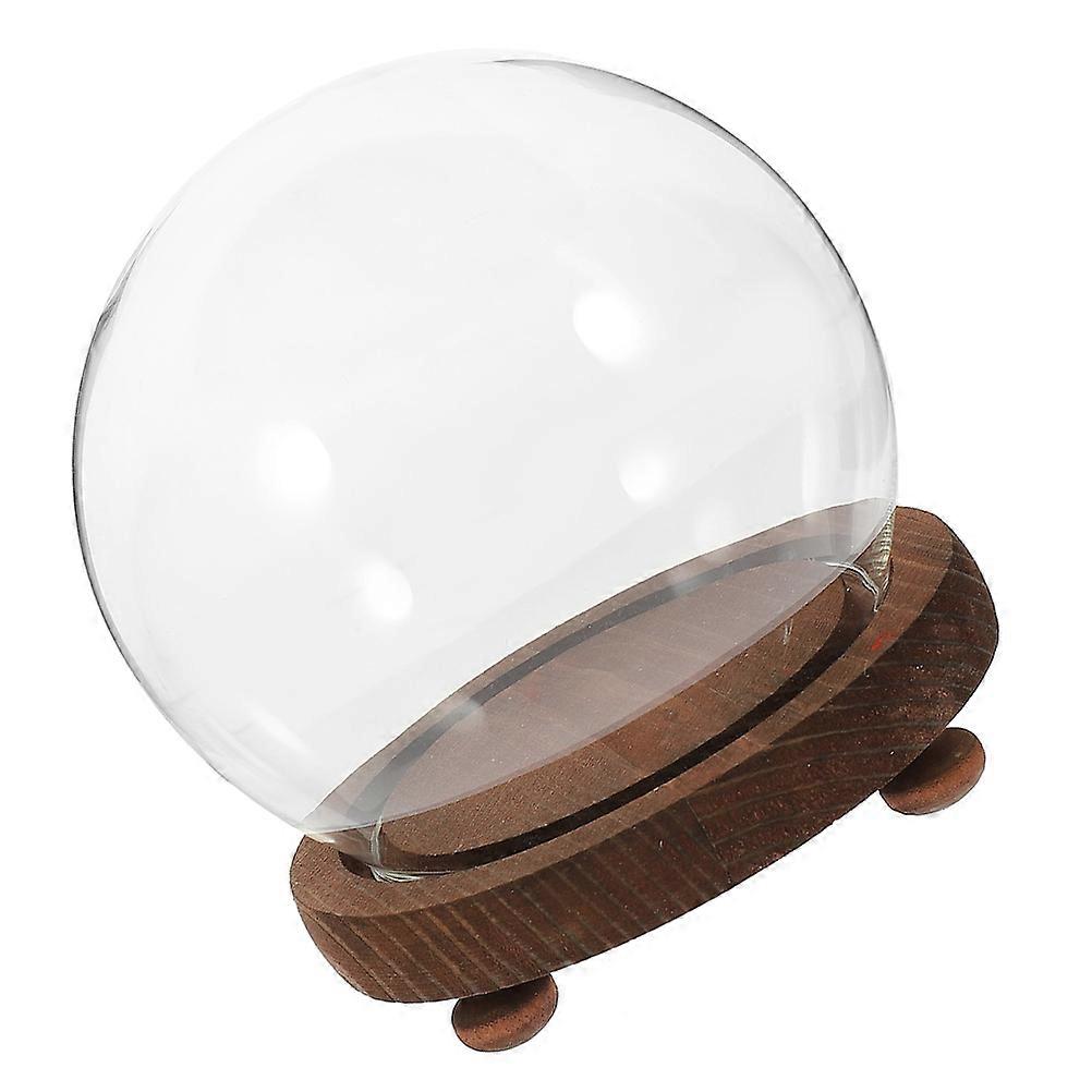 Glass Display Cloche for Protection Clear Globe Dome with Wooden Base