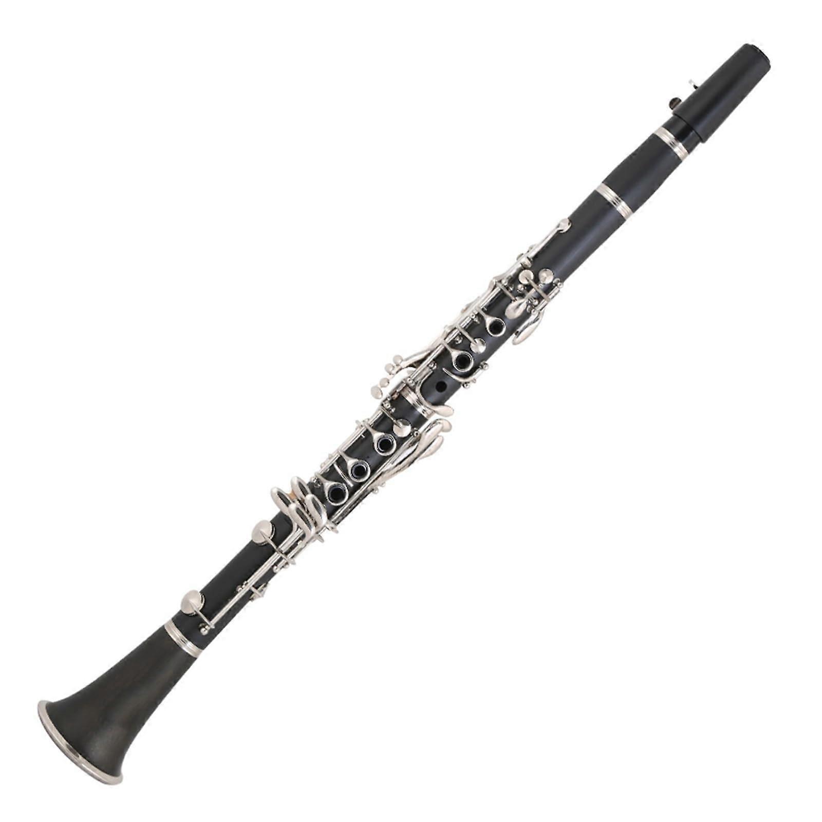 Professional Bb Clarinet for Beginners, Durable Construction, Clear Expressive Tone, with Case