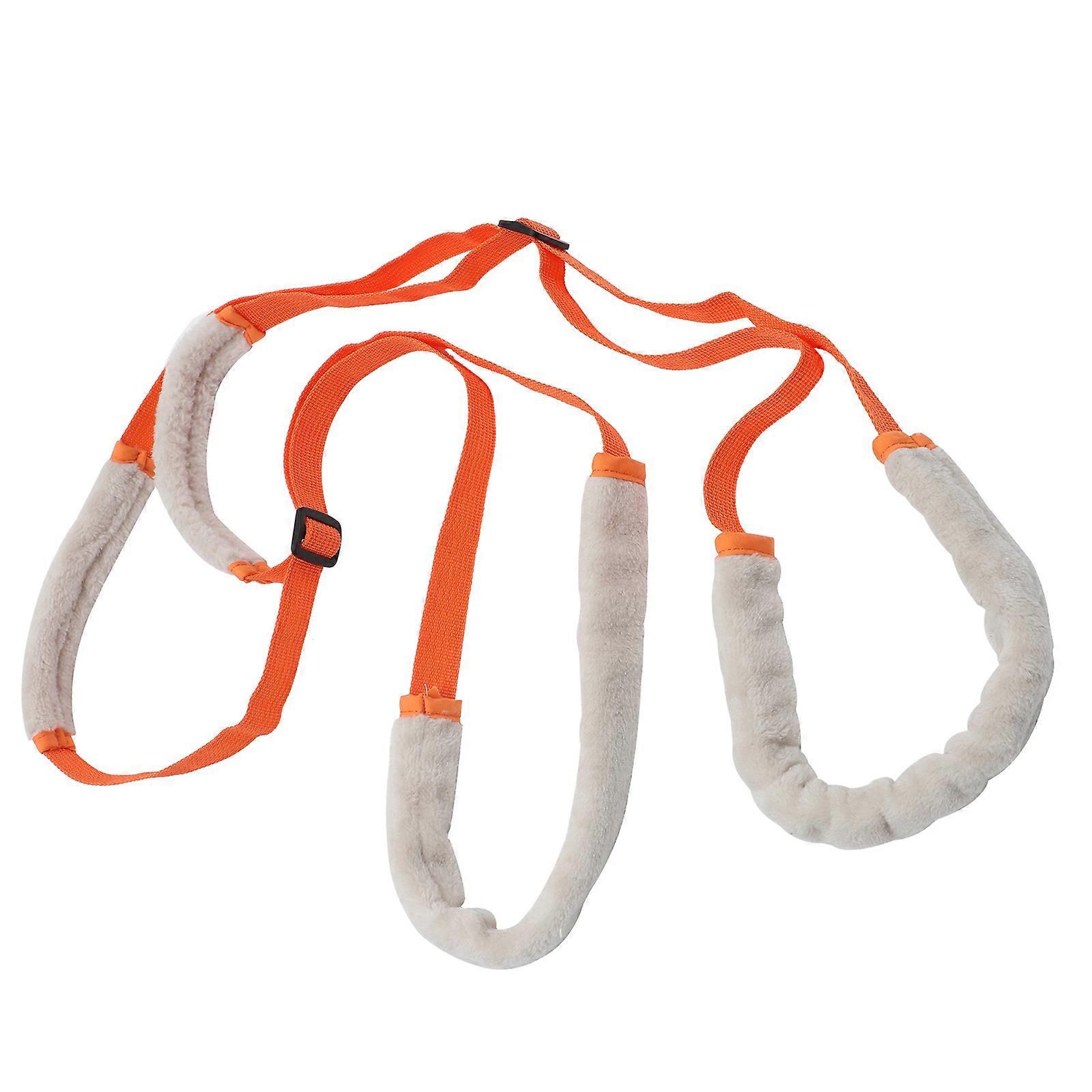 Adjustable Disabled Dog Support Harness for Exercising