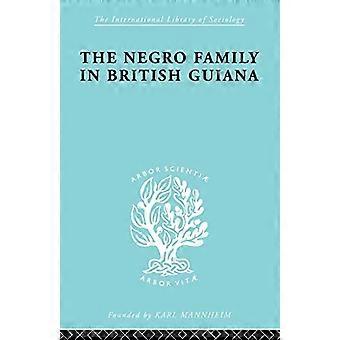 Negerfamiljen i Brittiska Guyana: Familjestruktur och social status i byarna (International Library of Sociology)