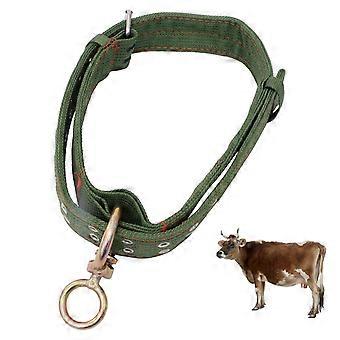 1 st förtjockad nötkreatur, får, hästhalsband, boskapsdragningshalsband (grönt)