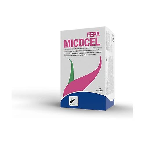 Fepa-mycocel 60 capsules