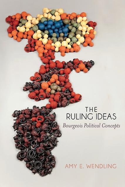 The Ruling Ideas by Amy E. Wendling Paperback Book