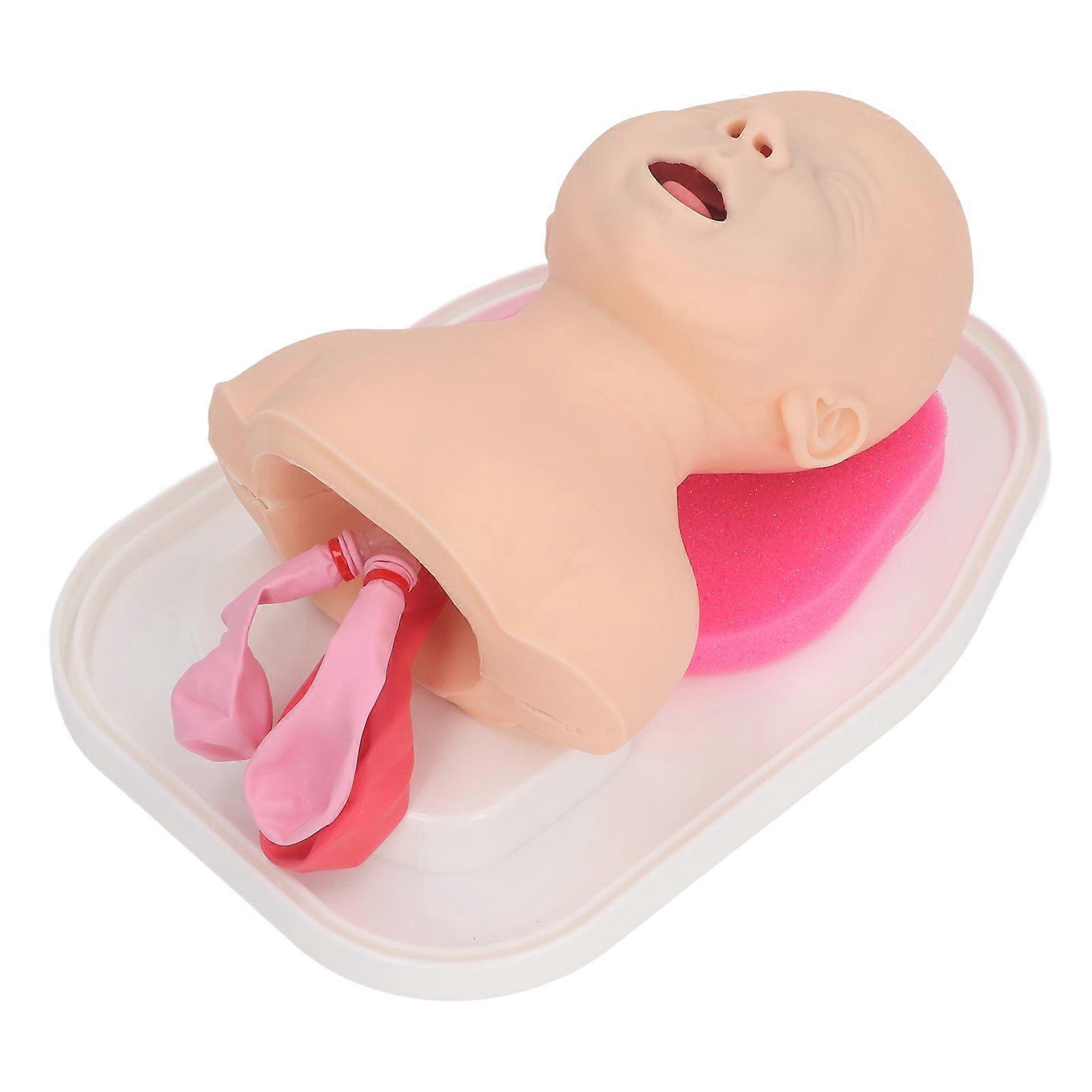 Tracheal Intubation Infant Model Endotracheal Intubation Manikin Simulator Airway Managment Trainer with Tube for Science Lab Study
