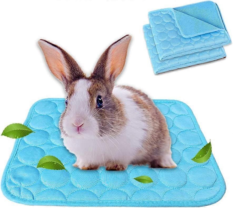 2-Pack Guinea Pig Bed Bunny Bed For Summer, Pet Cooling Mat