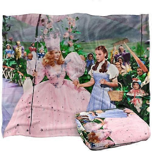 The Wizard Of Oz Scene Dorothy Blanket