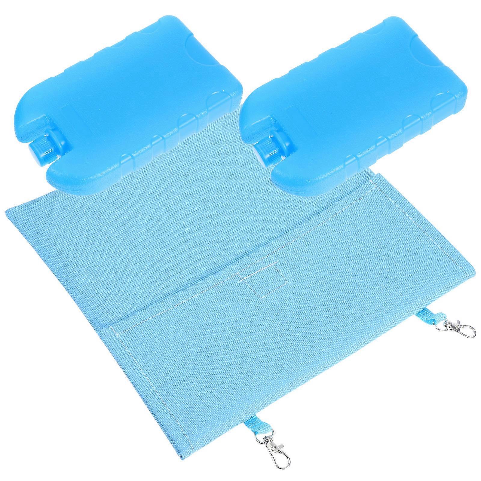 Pet Cooling Bag with Reusable Ice Pack for Small Animals Indoor Use Skyblue Size 11.8 x 11.8 inches