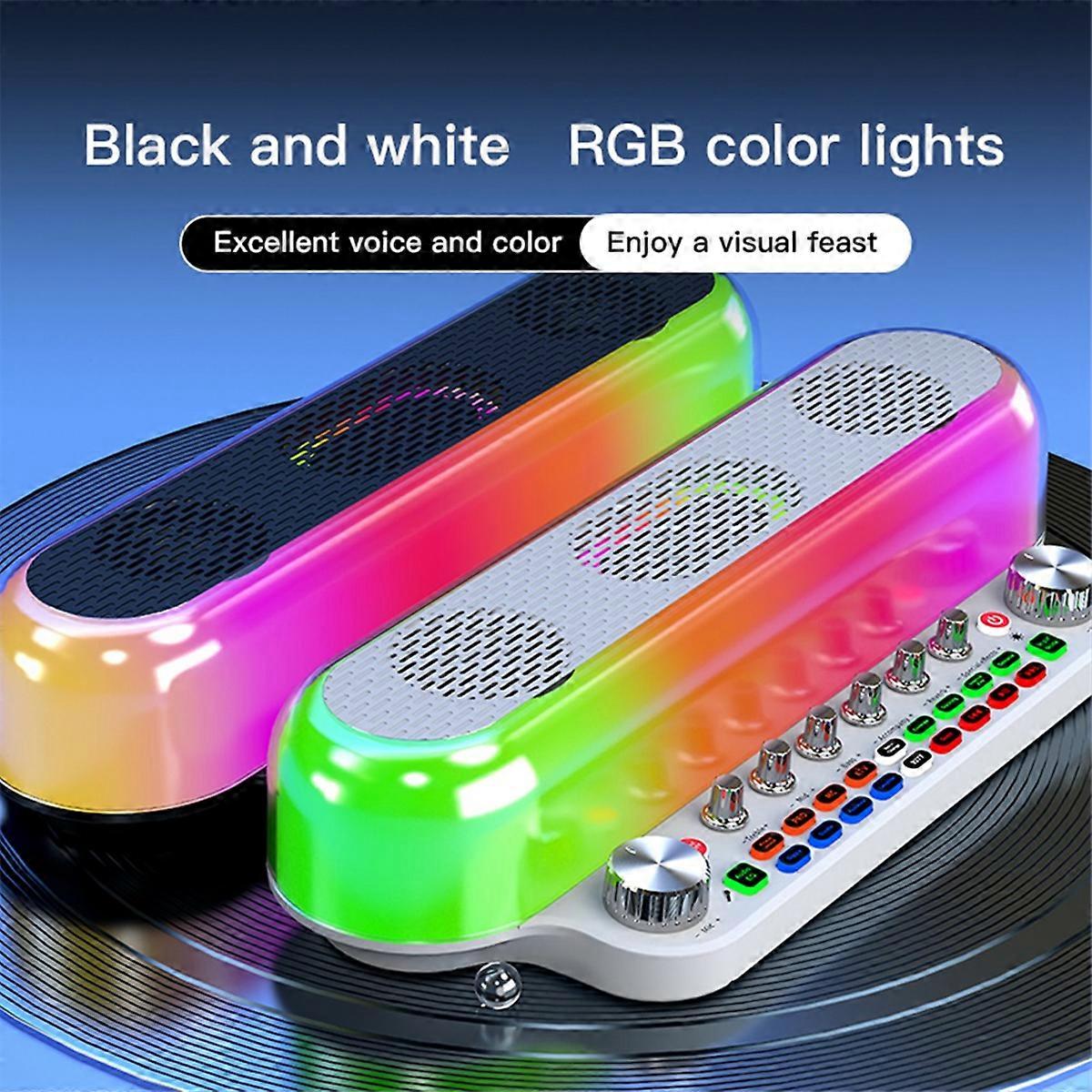 Portable Loud Karaoke Speaker with Two Mic for Family KTV Black