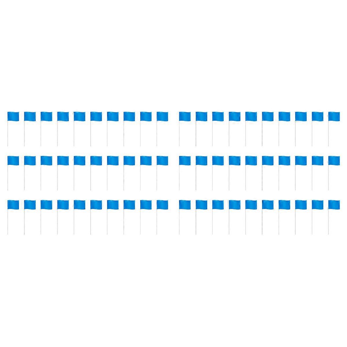 Marking Flags Marker Flags for Lawn 30 Pack, PVC Small Flags, Blue