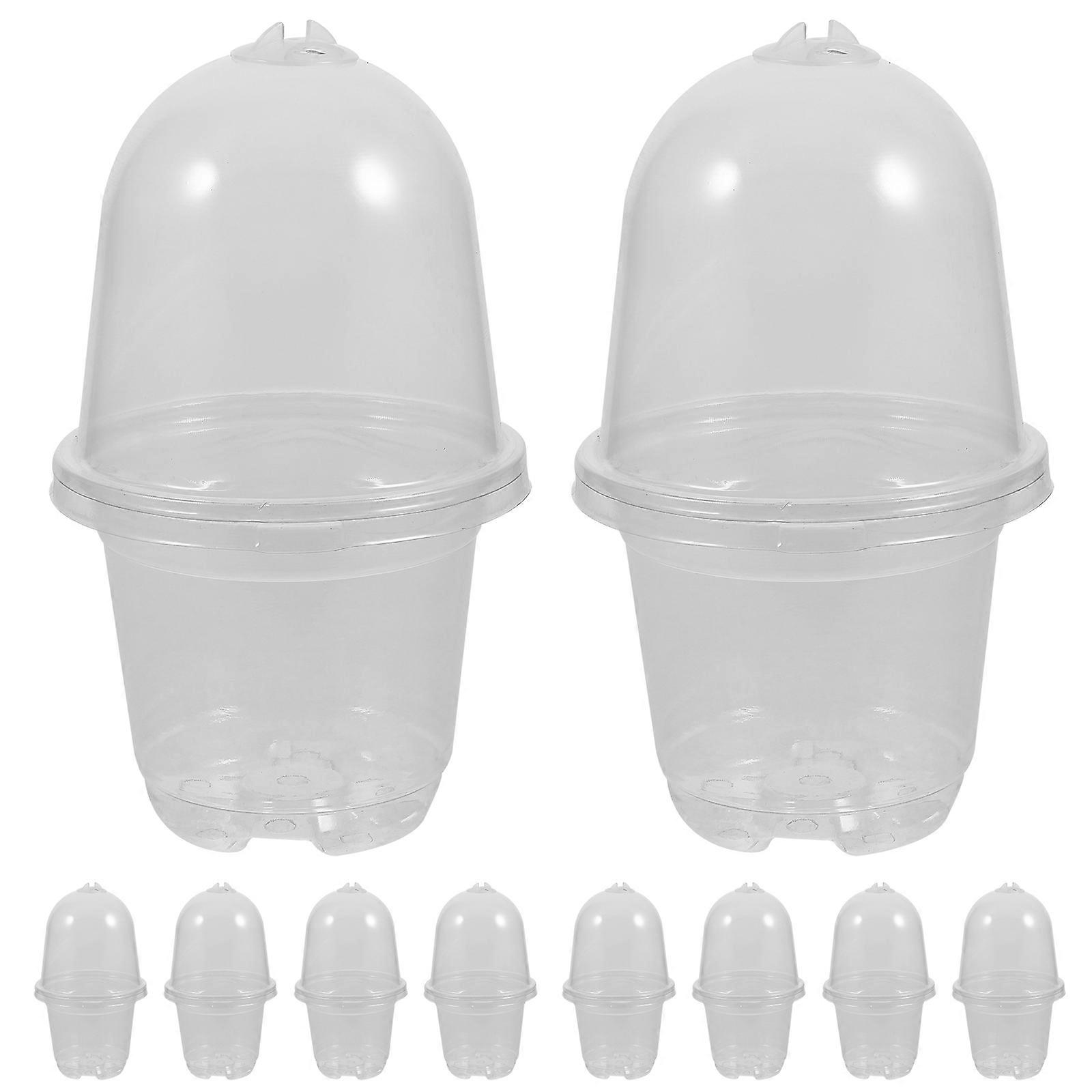 Clear Dome Nursery Pots for Flower Planting 20Sets