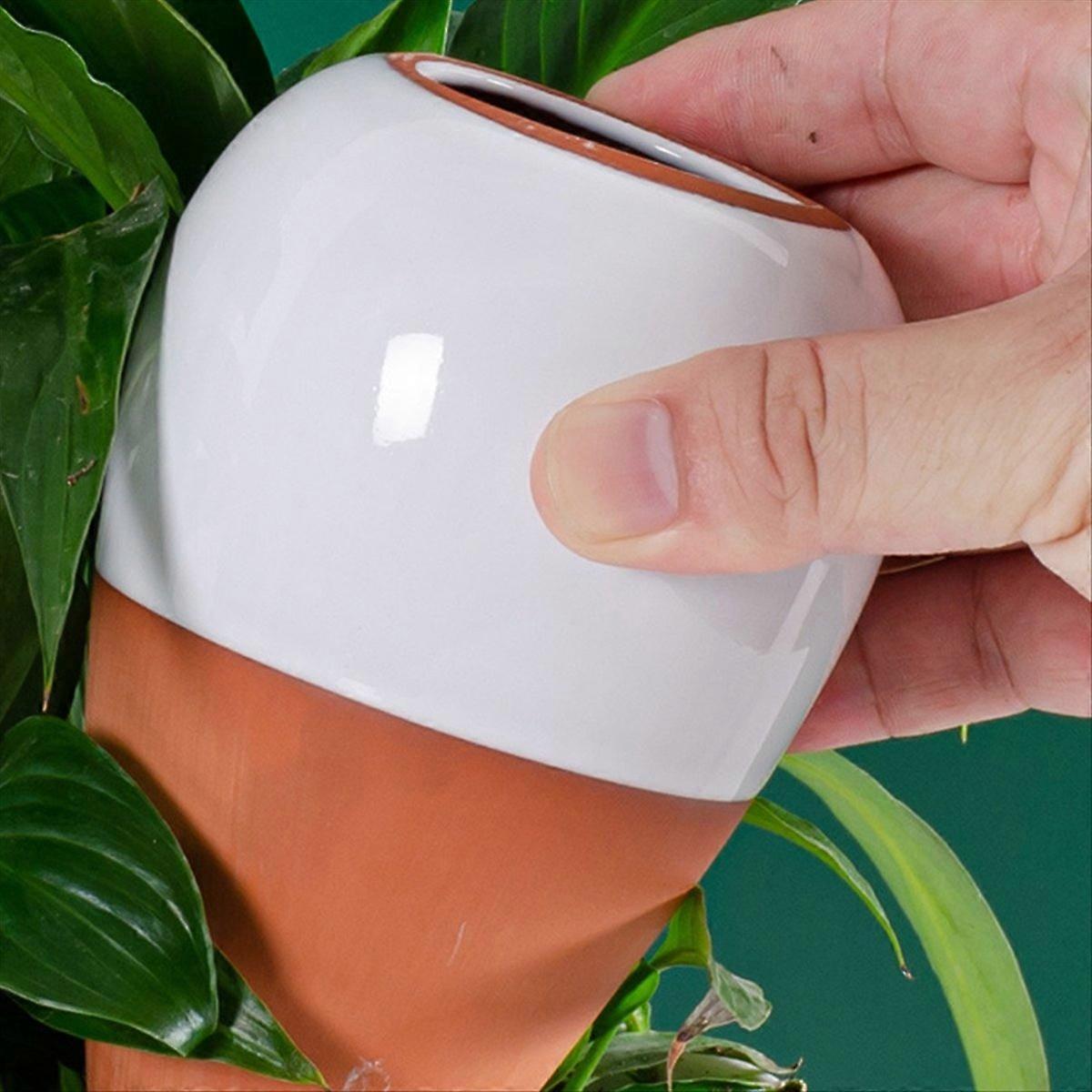 Växtbevattningsboll, Terrakotta-bevattningsspikar