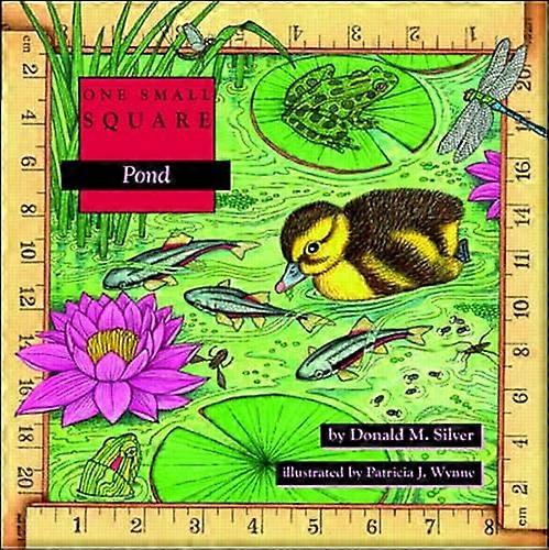 Pond (One Small Square)