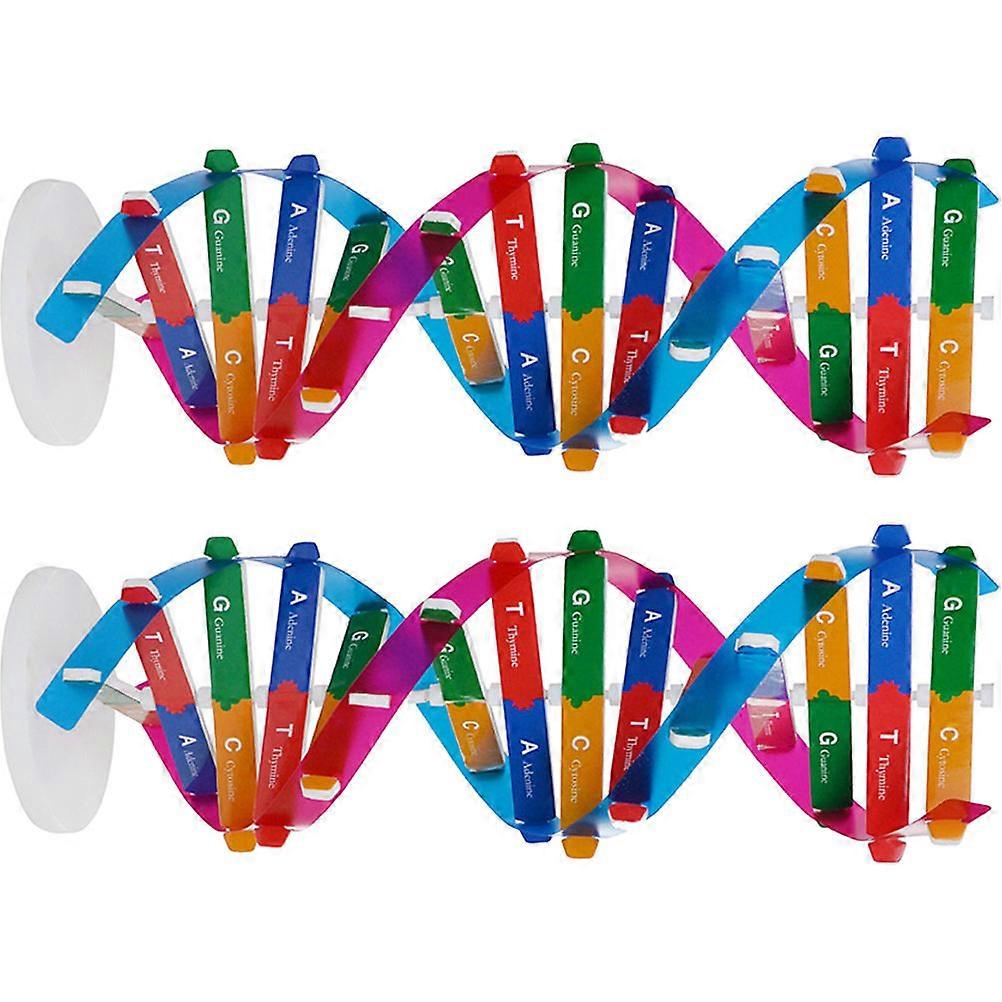 2pcs DNA Models Double Helix Model Components Science Teaching Instrument