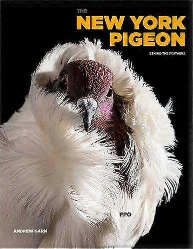 Το περιστέρι της Νέας Υόρκης από τον Andrew Garn Paperback Book