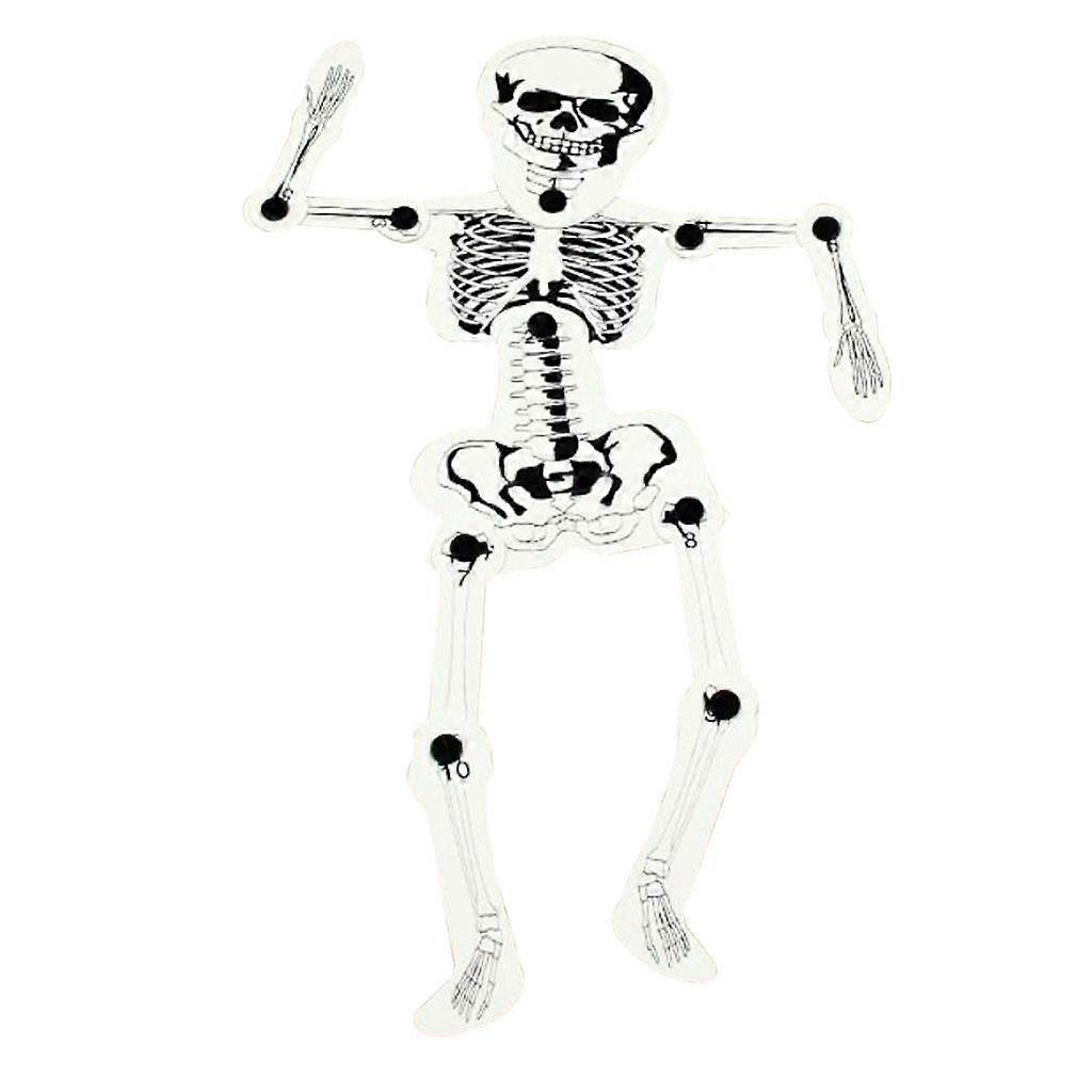 DIY Assembly Human Skeleton Model Bone Structure Science Experiment ACCS Kids Toy