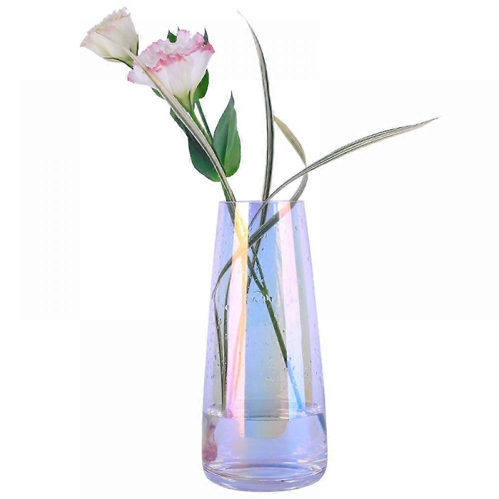 Clear Glass Vase, Decorative Vase Flower Plant Container