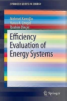 Efficiency Evaluation of Energy Systems