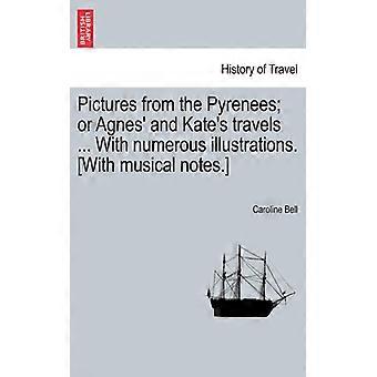 Pictures From The Pyrenees Or Agnes' And Kate's Travels. With Numerous Illustr - Caroline Bell - Paperback - English Book - History