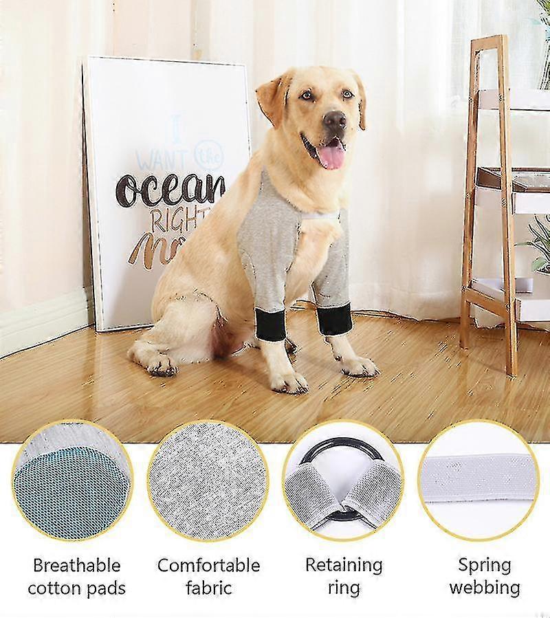 Koiran jalka koiran kyynärpääsuojahihnat paranemiseen suojaavat vammoja ja nyrjähdyksiä