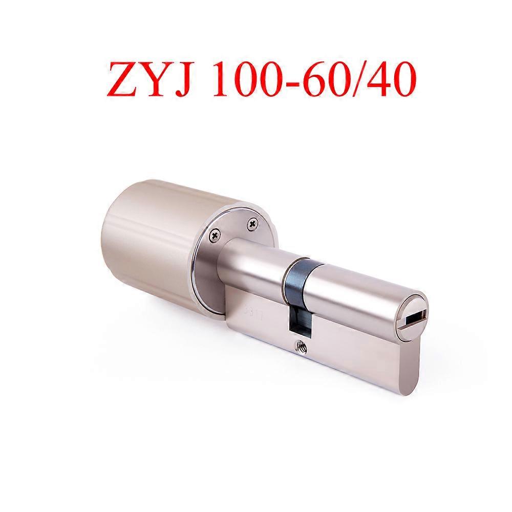 Tuya Smart Lock Cilindro Chiave elettronica Wireless WIFI Zigbee Lock Core Serratura con crittografia intelligente per EU Lock Smart Home