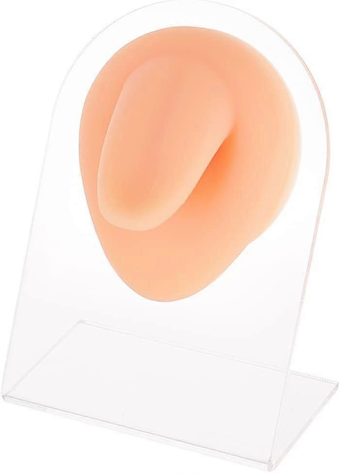 Soft Silicone Tongue Model with Acrylic Display Stands Soft Silicone Flexible Model Rubber Tongue Displays Model for Practicing Piercing Jewelry Displ