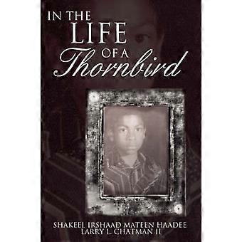 In The Life of a Thornbird