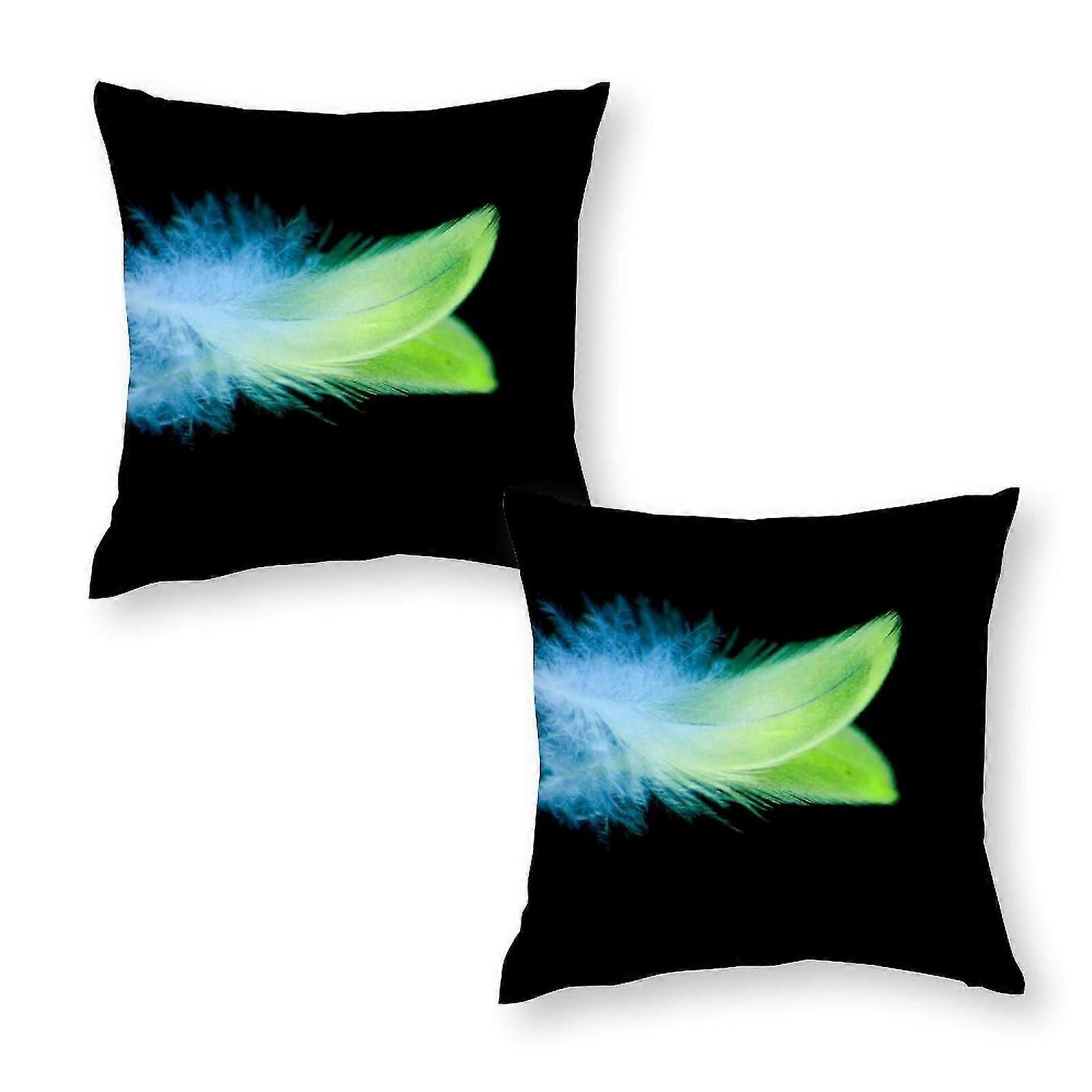 Set de 2 fotografii de pene pernă Acoperă