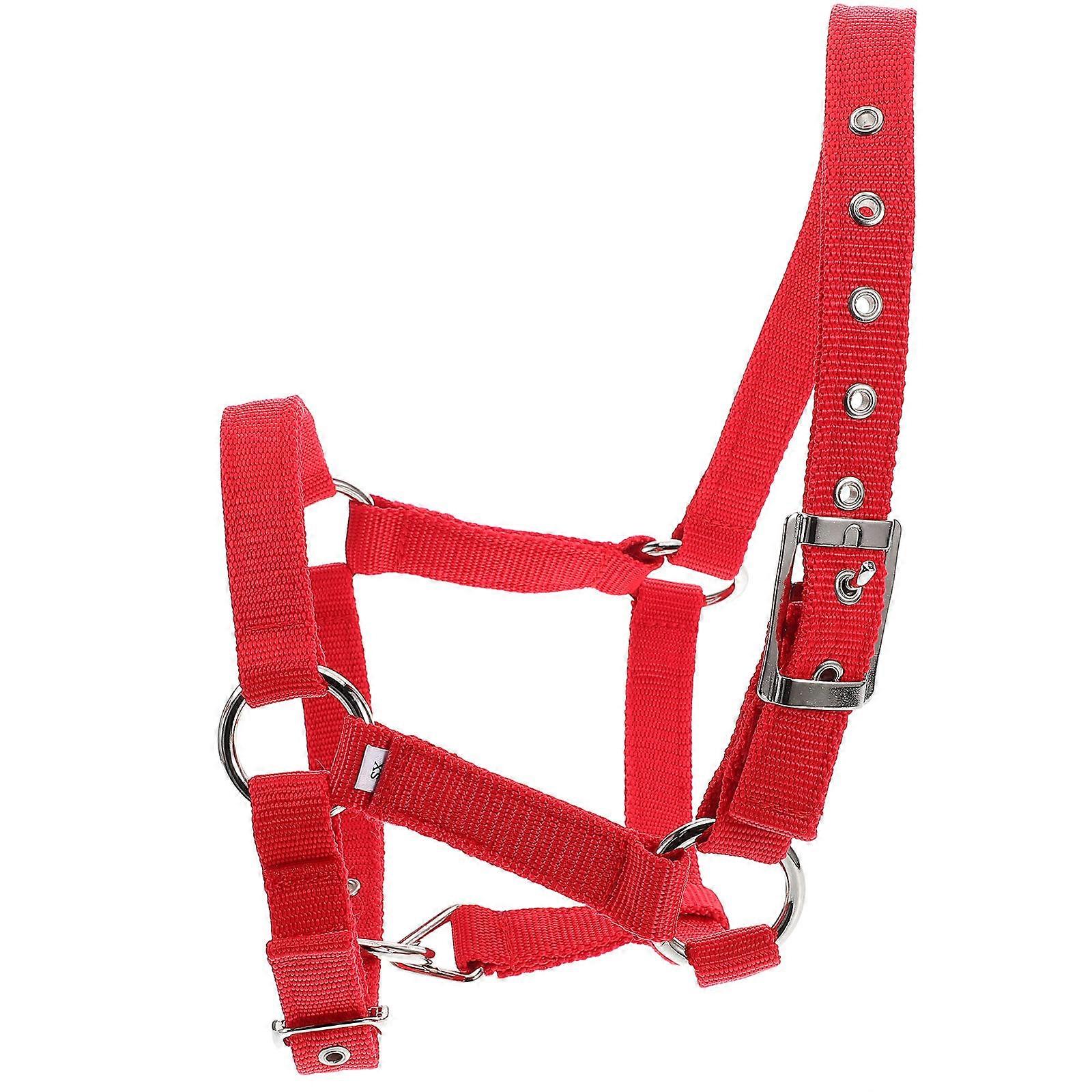 Horse Accessories Adjustable Horse Halter And Rope Children Equestrian Training Comfortable Padded Red 1Pcs
