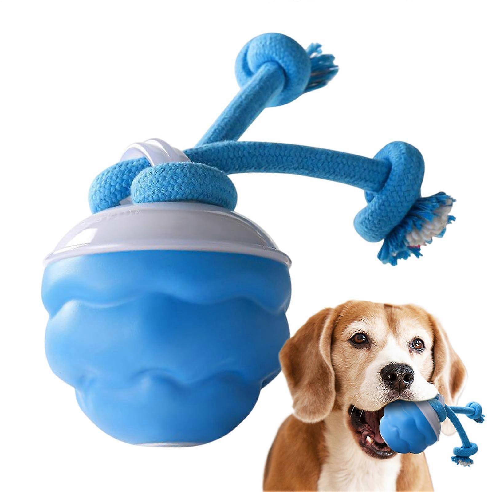 Interactive Dog Ball - Touch Motion Activated Squeaky Toy, USB Rechargeable, 2.95 Inch Smart Rolling Toy for Small and Medium Dogs