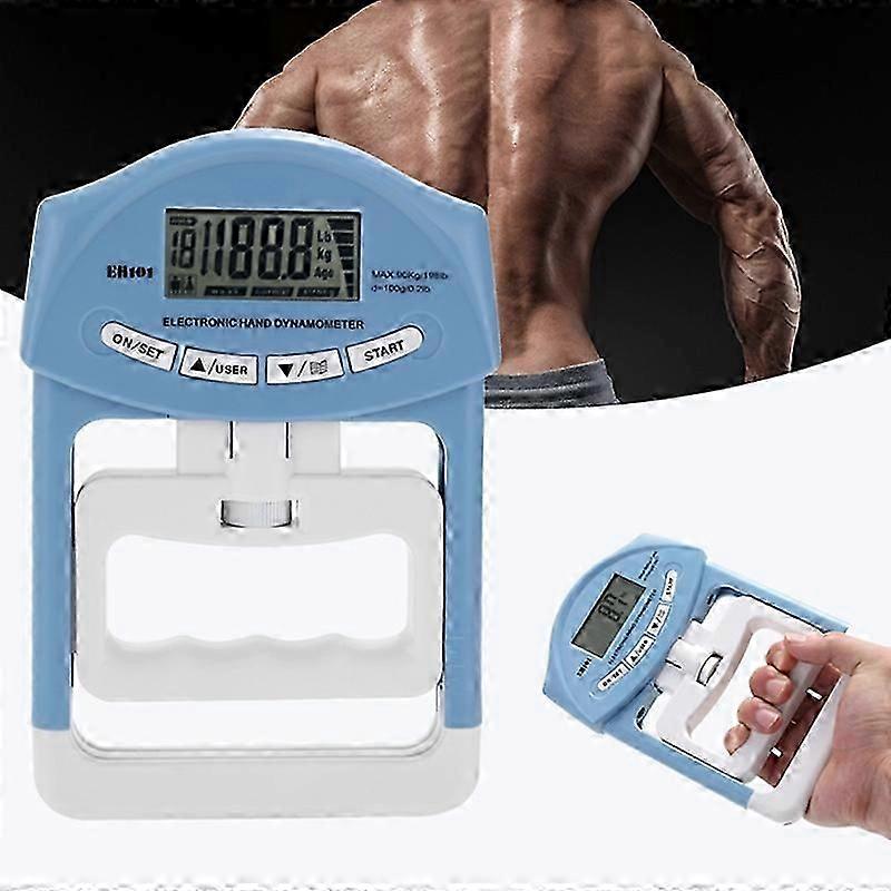 Eh101 Electronic Arm Strength Dynamometer Suitable For Sports Training Eh101 Arm Strength Dynamometer