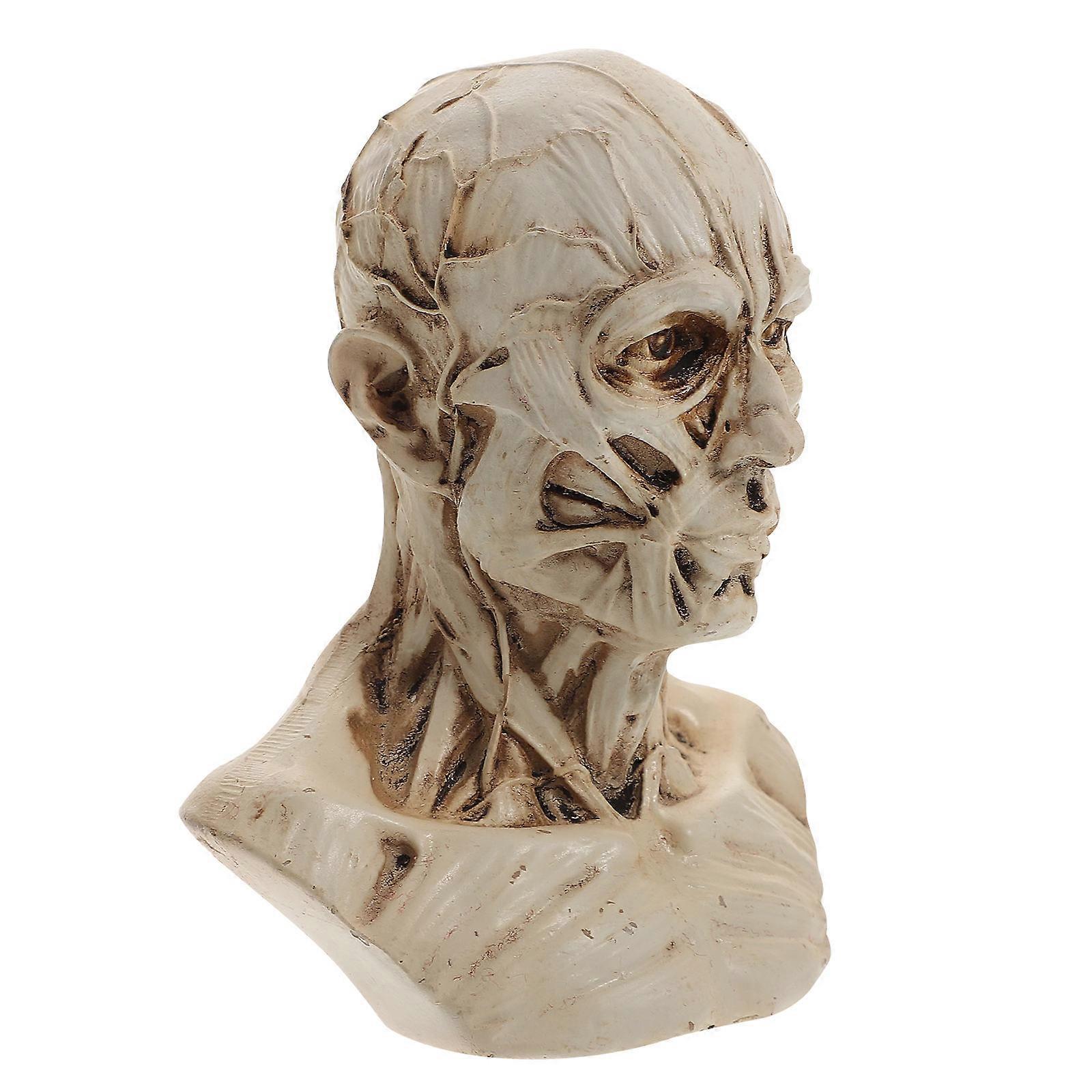 Skull Head Muscle Statue Human Model for Decor 3Pcs Resin Sketch Figurine