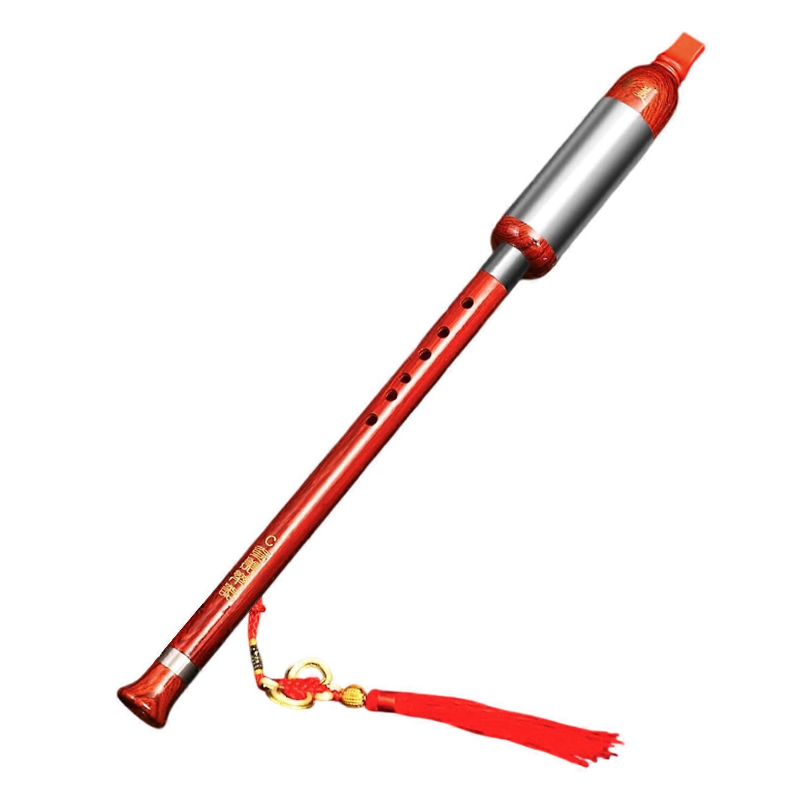 Beginner Oriented Wind Instrument Stainless Steel Resin Build Compact Carry Size For Student Multicolor