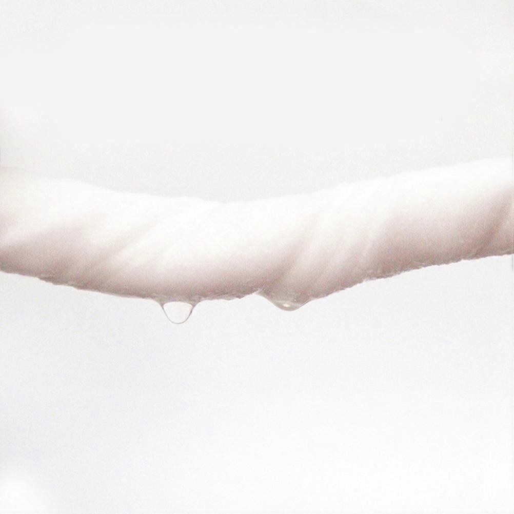 Pet Wet Tissue Pet Dog Cat Wet Tissue for Deodorizing 1Pack