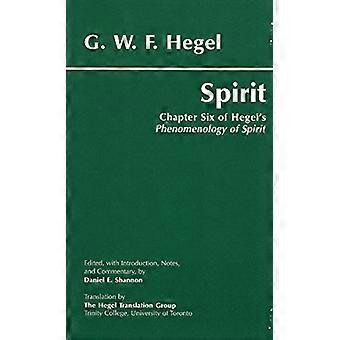 Spirit: Kapitel 6 von Hegels Phänomenologie des Geistes