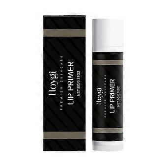 Hydraterende lippenbalsem, langdurige verzorging voor droge, gescheurde lippen, 5 g