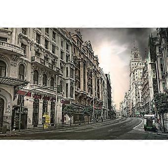 Empty Street in Madrid Spain Stress Reliever Jigsaw Puzzle SC333