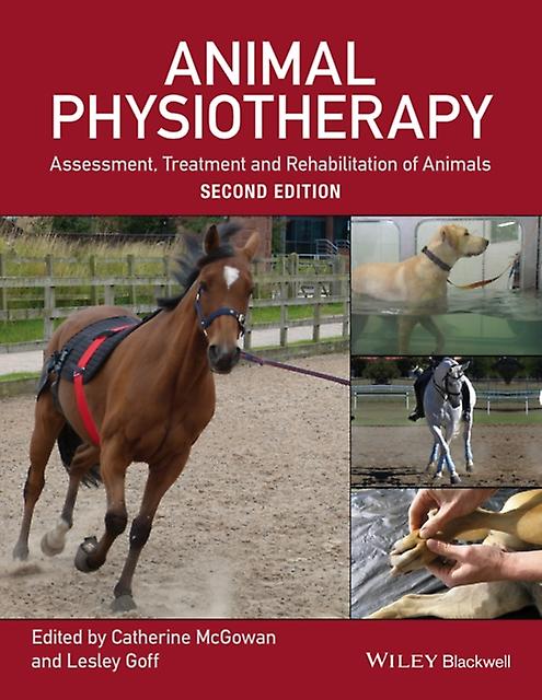 Animal Physiotherapy Paperback